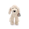Mały personalizowany piesek pluszowy Maltipoo 35 cm z imieniem dla dziecka